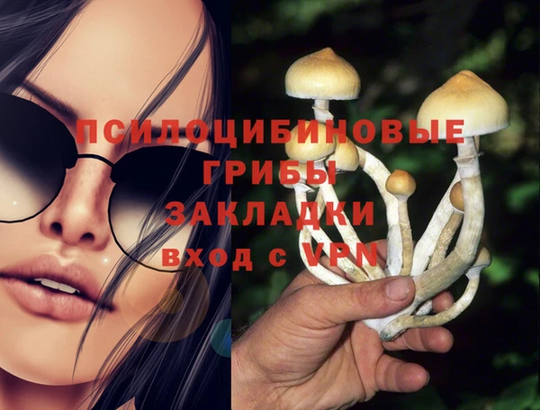 гидропоника Абдулино
